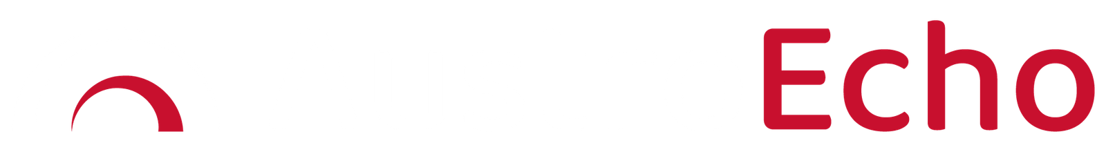 austroecho.at